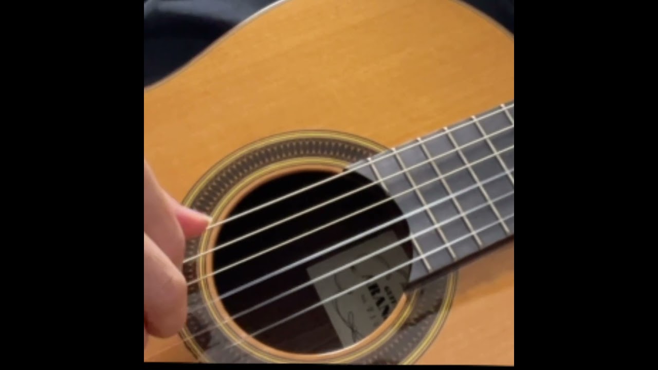 ハーモニクスがエグいフレーズ #盗賊の歌