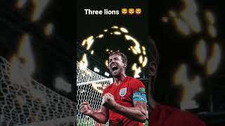 Three lions on a shirt