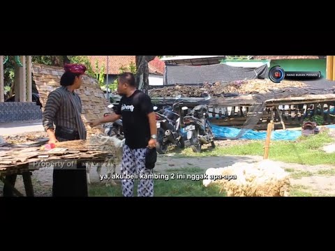 jadi-bapaknya-kambing-cak-silo-nolak