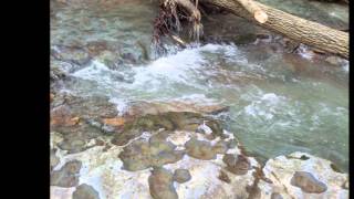 Advent 2015 Nature Slide Show