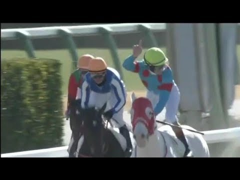 2018.12.28 2yo Newcomer (JPN) - Maillot Blanc