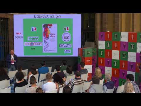 Dove sono le tue radici? Con Mario Pezzotti e Sara Zenoni