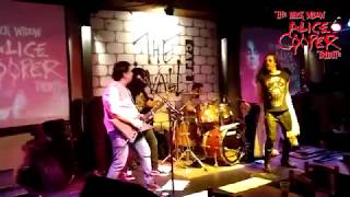 It&#39;s the little things | The Black Widow Alice Cooper Tribute