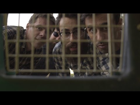 Algo diferente · La Casa de los ingleses (videoclip oficial)