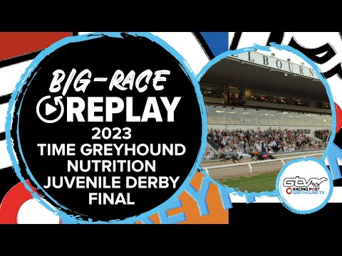 2023 Time Juvenile Derby - Droopys Flytline | Greyhound Replays | Ireland | 2023 Big Finals