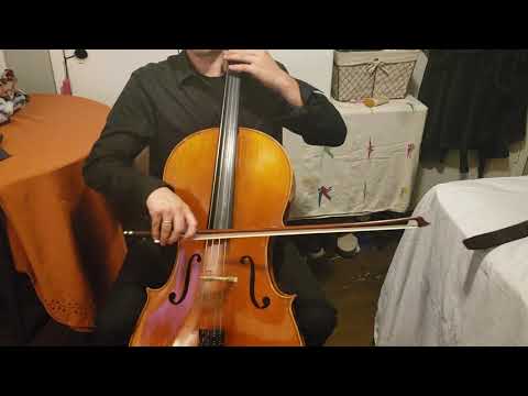 Holiday short cuts 1