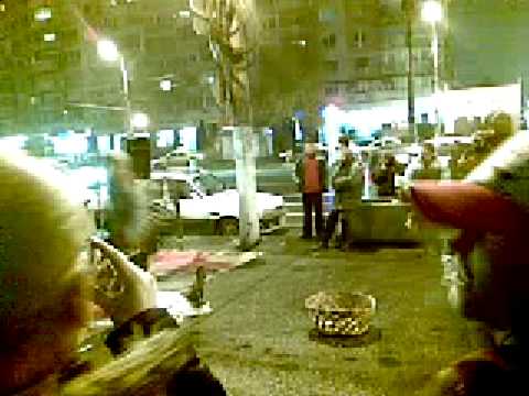 porcu la preajba la curte