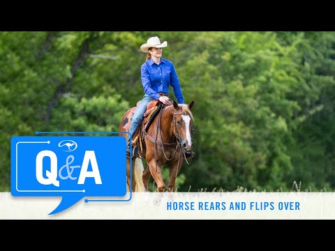 Horse Rears and Flips Over - Q&A With Clinton Anderson