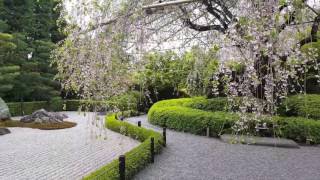 Secrets of Designing a Yin-Yang Garden, Revisited