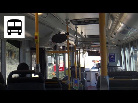 MAN 18.320 A69 - ACTION Buses Route 51