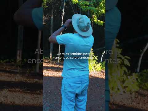 Cantão: santuário de biodiversidade entre o Cerrado e a Amazônia, puro e intocado
