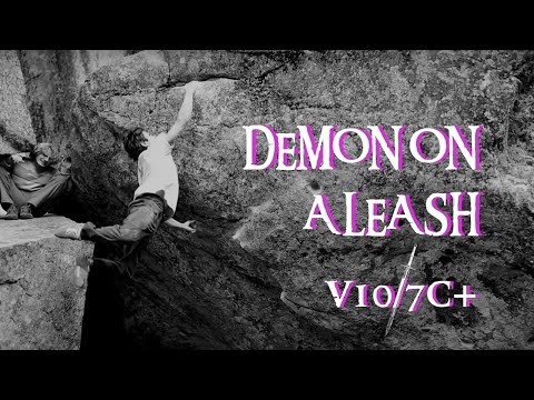 "Demon On a Leash"  - Boulder - Lake Tahoe / CA