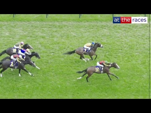 CERVINIA gets the better of Stellenbosch to clinch the Japanese Oaks (オークス)!