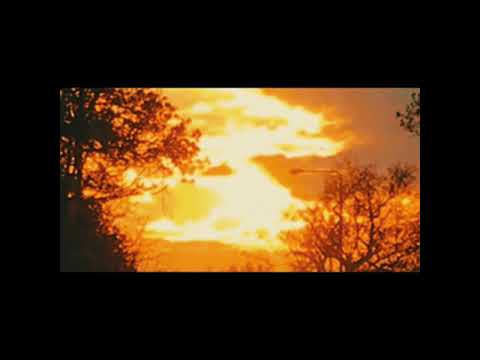 Ólafur Arnalds - Loom (feat. Bonobo)