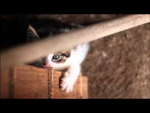 TheMrMusique feat. Stephanie Kay - Hide (3 Minute Edit)