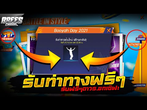 ฟีฟาย