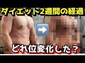 【ダイエット経過】(2週間後の結果)と脚トレ リバウンドしても腹筋が割れてる人の理由と同じ人が同じ体重で体型が違う
