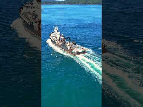 Thumbnail for Pacific Star Tender Runs Between San Juan & Lopez | Pink Salmon Opener (DJI Mini 4)