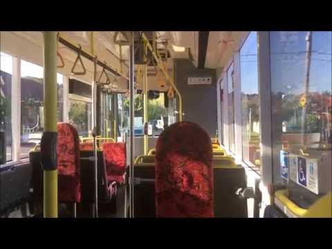 STA Sydney Buses-[Kingsgrove]-Scania L113CRL/Ansair "Orana" m/o 3795
