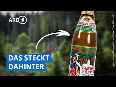 Rothaus im Check: Wie gut ist das Bier der Staatsbrauerei? | Marktcheck SWR