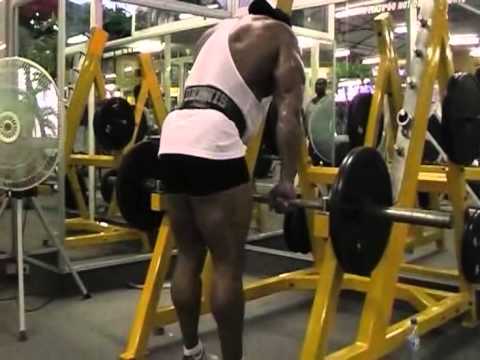 BodyBuilding   Dennis James   Back to Basics 1