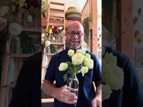 2025 ,Top 50 most recommended roses multi brand #gardenerben 