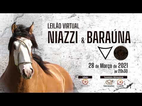 Leilao Niazzi e Baraúna convite.