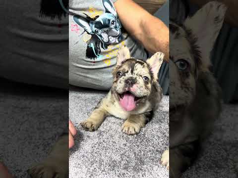 Video 5