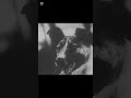 Born a hero | RIP Laika #hero #shorts #sad #fyp #sadedit #laika #dog #space #animals #rip #edit 
