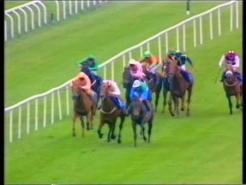 1994 First National Building Society Irish 2000 Guineas