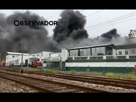 As imagens do incêndio numa fábrica de Ovar