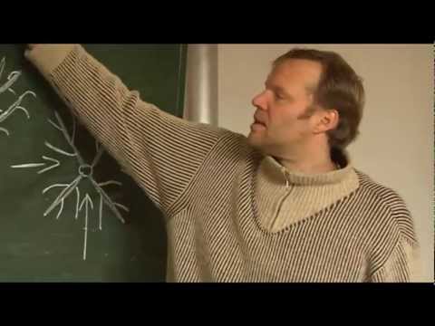 Die Obstbaumschnittschule auf Schloss Tonndorf