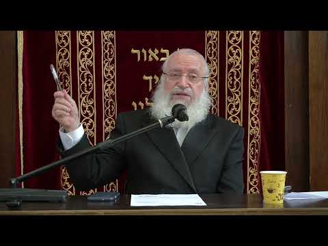 The Mitzvah of Machatzis HaShekel  | Weekly Shiur by Harav Asher Weiss Shlita | 5784