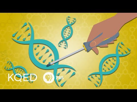 Gene Editing & CRISPR: How Far Should We Go?