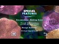 Nemo Dvd Menu Disc 1