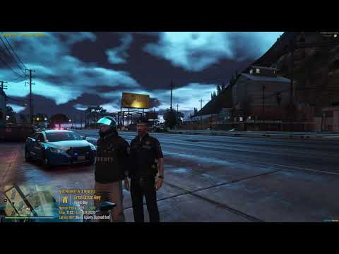 Body Camera Footage 0234