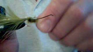 preview picture of video 'Marabou Leech-Fishing Fly'