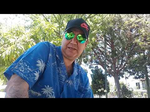 El veneno del alacrán cura el Cáncer? ¿?