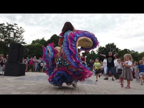 Występ zespołu Don Vasyl Junior i Cygańskich Gwiazd w ramach Otwarcia Parku Historycznego w Siarach