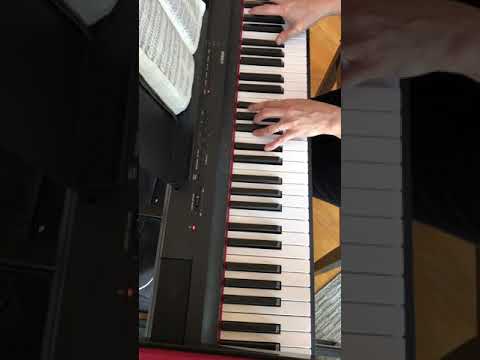 Hymn 510 - I've found the One of peerless worth