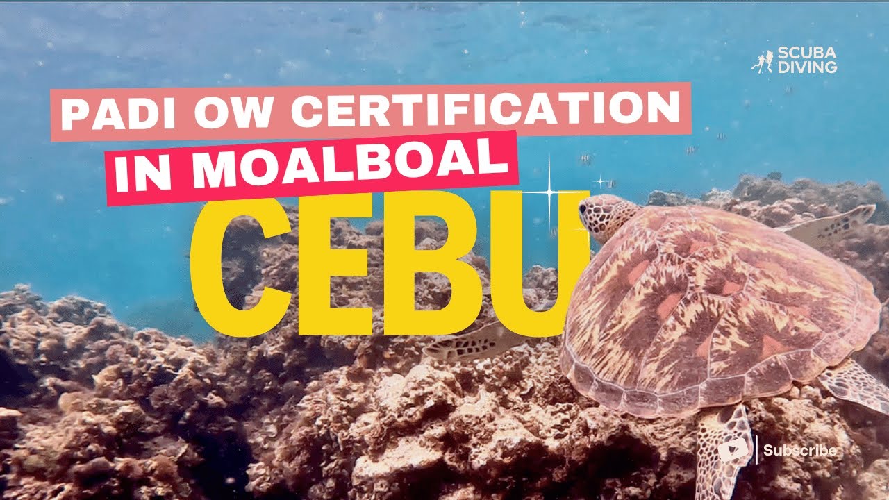 An adventurer experiences Scuba diving at Tongo Point Marine Sanctuary.