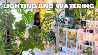 How I Water 100+ Houseplants | smart watering ft. RainPoint + Light Setup