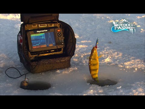 OUTDOOR PASSION , THE RAYMARINE ICE FISHING KIT