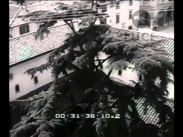 youtube video id=wnn5XnPyNf8