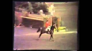 Video od Warwick Rex