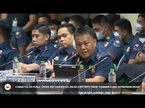 Ex-PDEG chief Domingo, pinoprotektahan ang mga kaso vs. Mayo kaya ngayon lang nakapagsalita