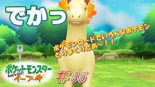 【ピカブイまったり女性実況】ポケモンゲットのパラダイス～っ！！１７番道路はイーブイもいるよ♪【レッツゴーイーブイ】