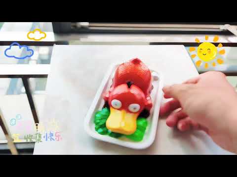 【寶可夢】GBA STUDIO-燒臘烤達鴨