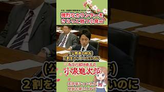 【小泉vs蓮舫】強烈なカウンターをさらっと放つ小泉w