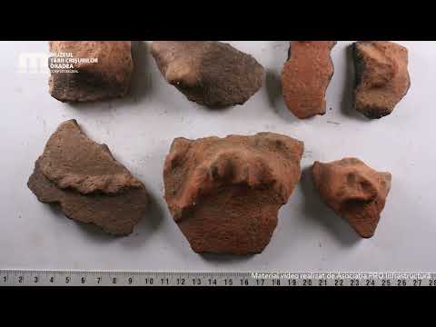 eBihoreanul.ro: Archaeologists found near Oradea the grave of a woman with 169 gold rings in her ...